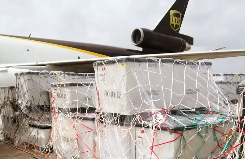 Breakage and packing risk logistics support from China by Austone