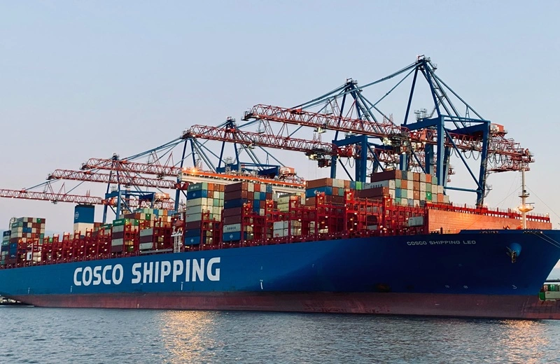 Sea freight timeline from China to Australia showing origin handling, ocean transit, customs clearance and final door delivery
